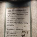 서부정류장1 | 대구 3대 막창 달서구 맛집 연막창 서부정류장 직영점 솔직 후기