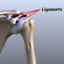 근로복지공단 태백병원 이미지