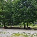 신북농업협동조합(주유소) 이미지