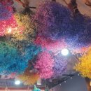 365게임랜드 이미지