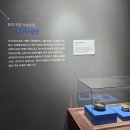 대가야 | 고령대가야축제 다녀온 후기