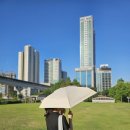 미니쭈 | 일본 양산추천 한 손에 쏙 들어오는 비커즈 미니 우양산 후기