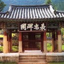 표충비 Daum카페