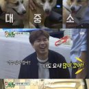 대중소