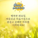 9월 10일 화요일 미래 정 대문 오픈 합니다 이미지