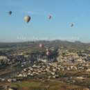 (유)진투어 이미지