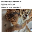 부산 '구더기 통닭' 논란…"구더기 발생한 채 조리됐다" 결론 이미지