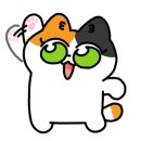 이성문소아청소년과의원 이미지