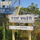 남도버스2 이미지