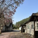 휴림 | 서울 근교 캠핑장 추천, 예약부터 시설까지 휴림캠핑장 후기(주목존)