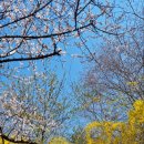 부산진구 사회복지관어린이집 이미지