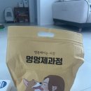 멍멍제과점 | [후기] 강아지 수제간식 추천 :: 멍멍제과점