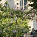 오버트서울 | 서촌카페 - 외관부터 취향 저격당한 '오버트서울' 딥말차치즈케이크 솔직 후기