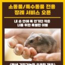 오수시장 | 남원 여행, 남원 국내 유일 공공 반려동물 장례시장 오수 펫 추모공원