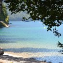 용기조아 이미지