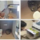 건강보험공단대구북부지사 이미지