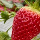 내산농장 이미지