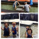 평림댐장미공원 이미지