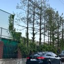 구암동196 이미지