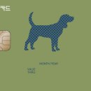 펫프렌즈동물병원 이미지