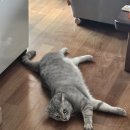 첼로-기초(주간) | 2024.06.03~06.09 주간일기☺️