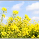 노인여성회관 이미지