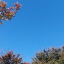 다율법무사사무소