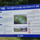 다리골천 이미지