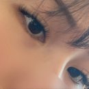 뷰티데이 - 제주시 | 구월동속눈썹연장 ‘뷰티데이’ 화려한 속눈썹 일주일 후기