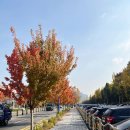 천하명당마트 | 부평 로또명당 대박천하마트 1등이 13번이라고? 다녀온 후기