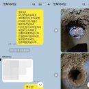 [단독] 예천양조 &#34;영탁母 말대로 돼지머리 묻어…가스라이팅 당했다&#34; 이미지