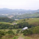 안흥목장 이미지