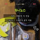 유니노스 강아지수제간식 후기｜알메추리 통건조·우드스틱 반응 좋은 반려견수제간식