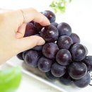 당골농원 이미지