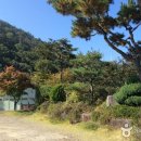 쭈꾸미사랑 이미지