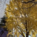 미림문화예술협동조합 | [동네핫플 사냥꾼] 4회차 - 노원미래교육지구 예술로투어 &#39;중하계 핫플지도&#39; 완성!