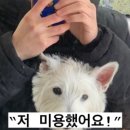하이랜드공인중개사사무소 이미지