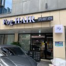2대헤어