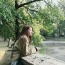 1207 이미지