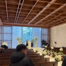 시도 3호선 이팝나무 | W.01 웨딩홀 돌아보기 - 엘블레스, 노블발렌티 대치, 아르베, 루클라비 더 화이트, 아펠가모 반포, 더...