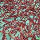 청풍농장 이미지