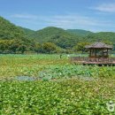여름 경남 고성, 자연의 숨결을 만끽하는 가볼 만한 곳 이미지