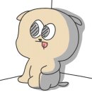 큰대쪽갈비