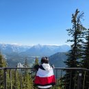 (주)산들푸드성결대점 | 《북미 로드트립▪︎52》 캐나다 밴프 여행 / 밴프 곤돌라 / 로키산맥 전망 설퍼산 정상 / 노던라이트...