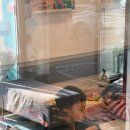 다섯손가락 | 꿈꾸는다섯손가락 동탄호수점 말띠달력 만들기 + 물감놀이 다녀온 후기 (내돈내산)