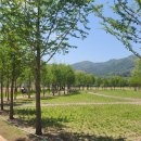 한반도섬 이미지