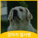 철원동물병원 이미지