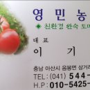 영민농장 네이버블로그