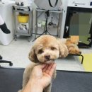 포즈티브 이미지