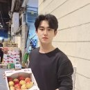서비네농장 네이버블로그